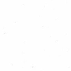 Meet your Posher, Bostin